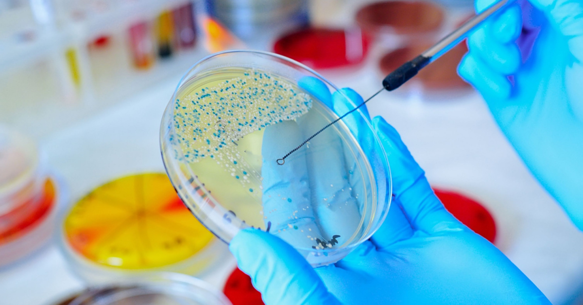 Microbiological Testing (1)