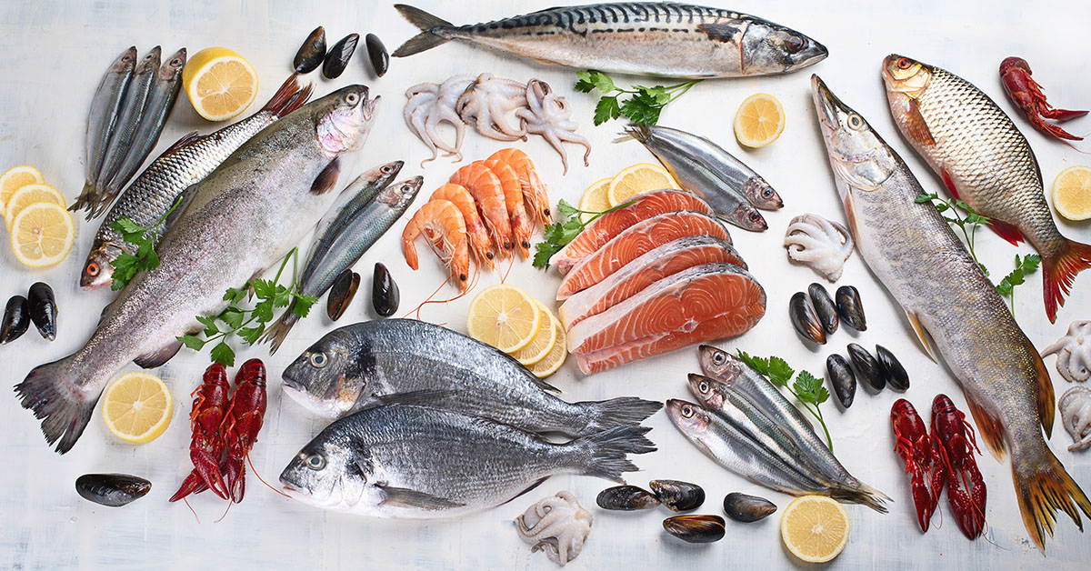 seafood-article-banner