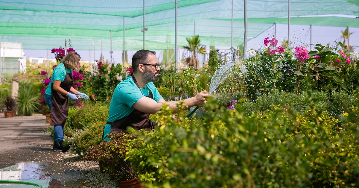 news-organic-farming