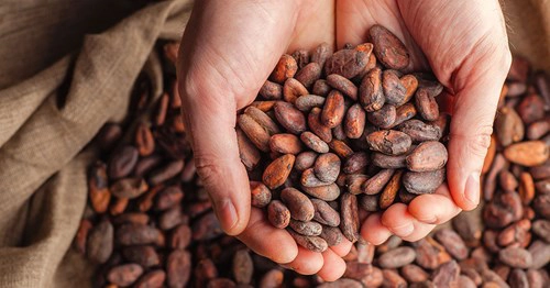 Cocoa Beans