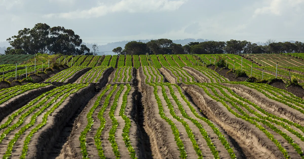 news-regenerative-agriculture-banner
