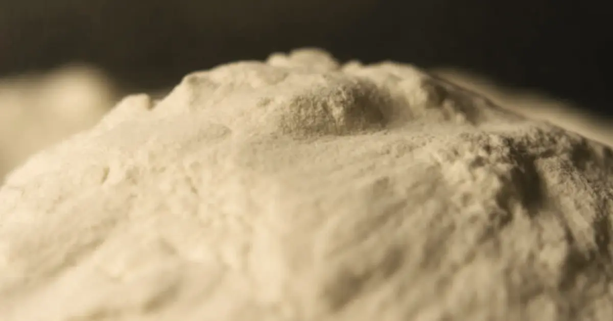 a-guide-for-south-african-exporters-shipping-milk-powder-to-congo-brazzaville