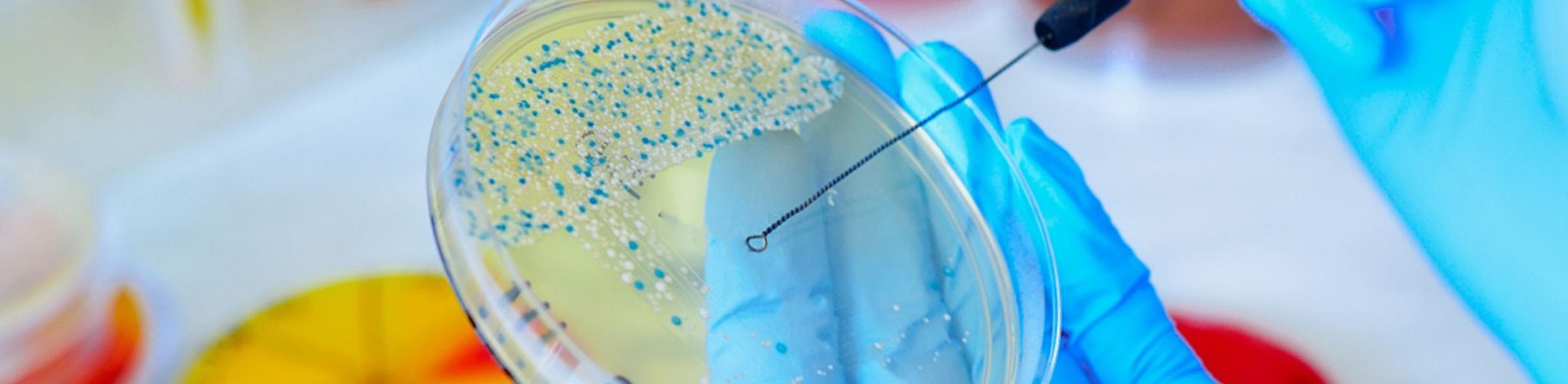 microbiological-testing-header