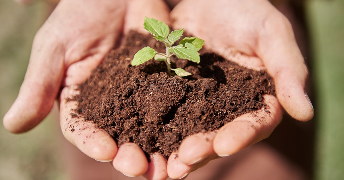 news-soil-microbiomes