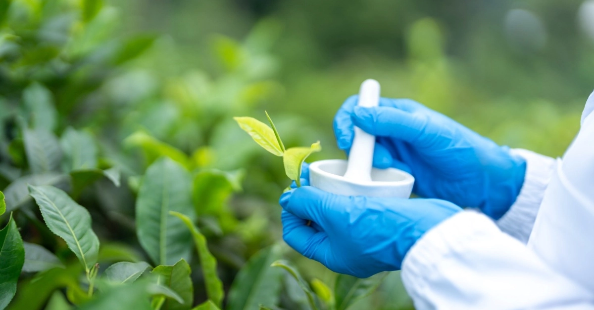 tea-board-of-india-regulations-for-tea-product-testing