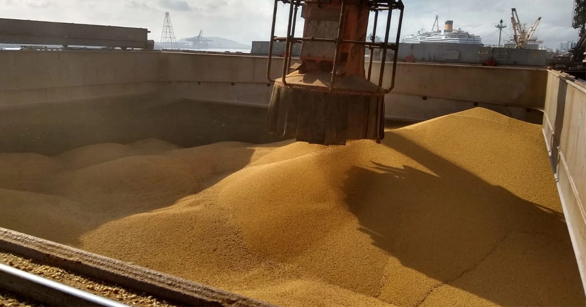 Brazil Soybeans