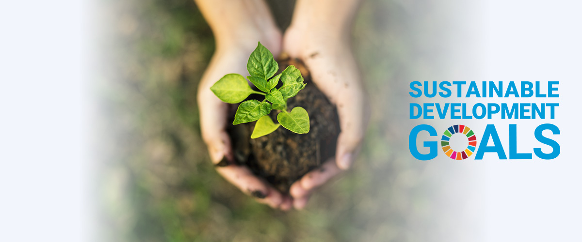 sdg-banner