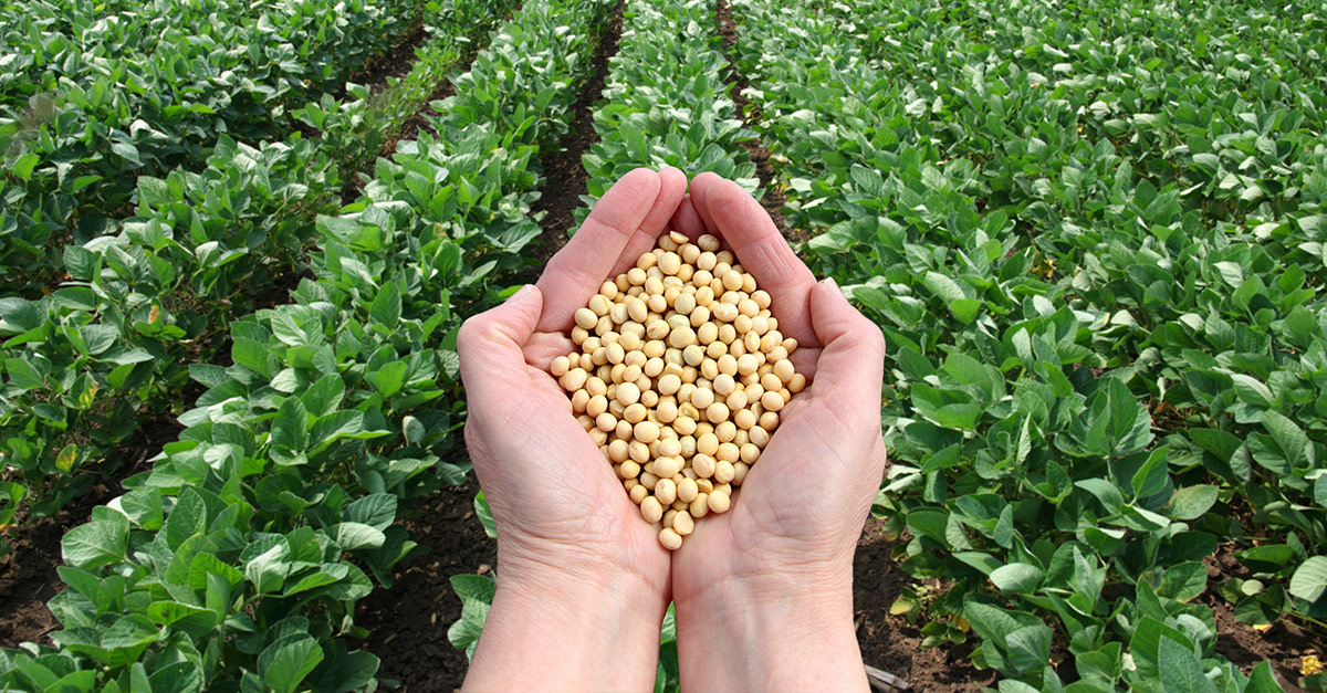 agri-inspection-banner