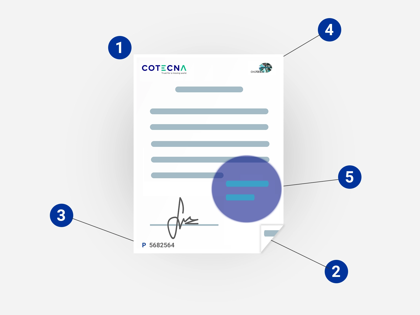 check-certificate-image
