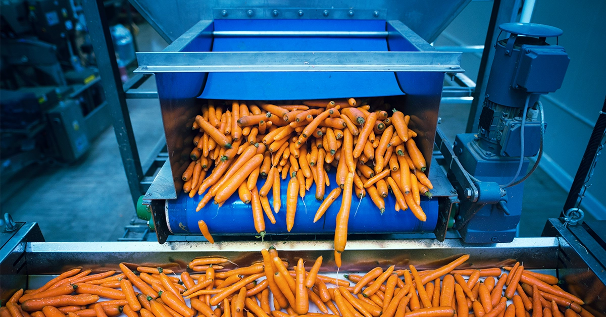 news-exporting-food-1