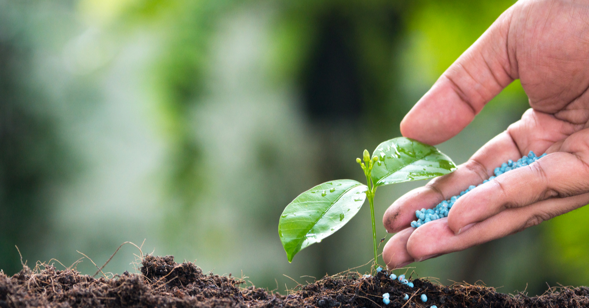 fertilizer-article