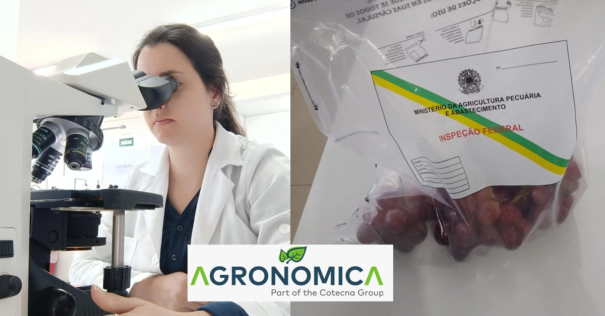 agronomica-phytosanitary-diagnosis