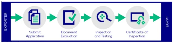 voc-egypt-process-nfsa-en