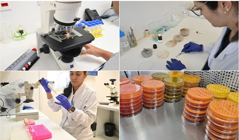 news-soil-testing-collage-1