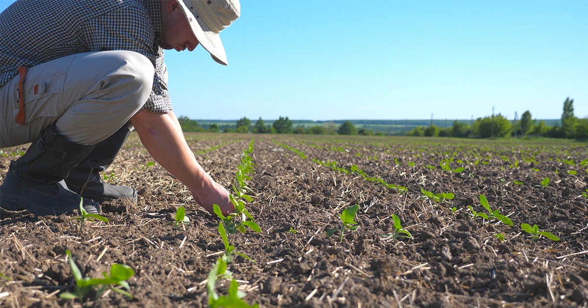 news-pesticide-residues
