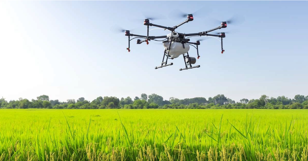 news-agri-inspection
