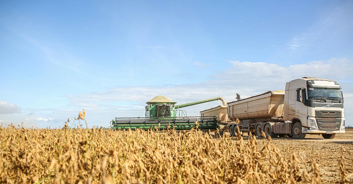 news-26th-soybean