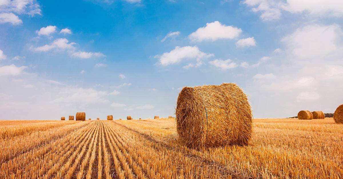 agri-banner