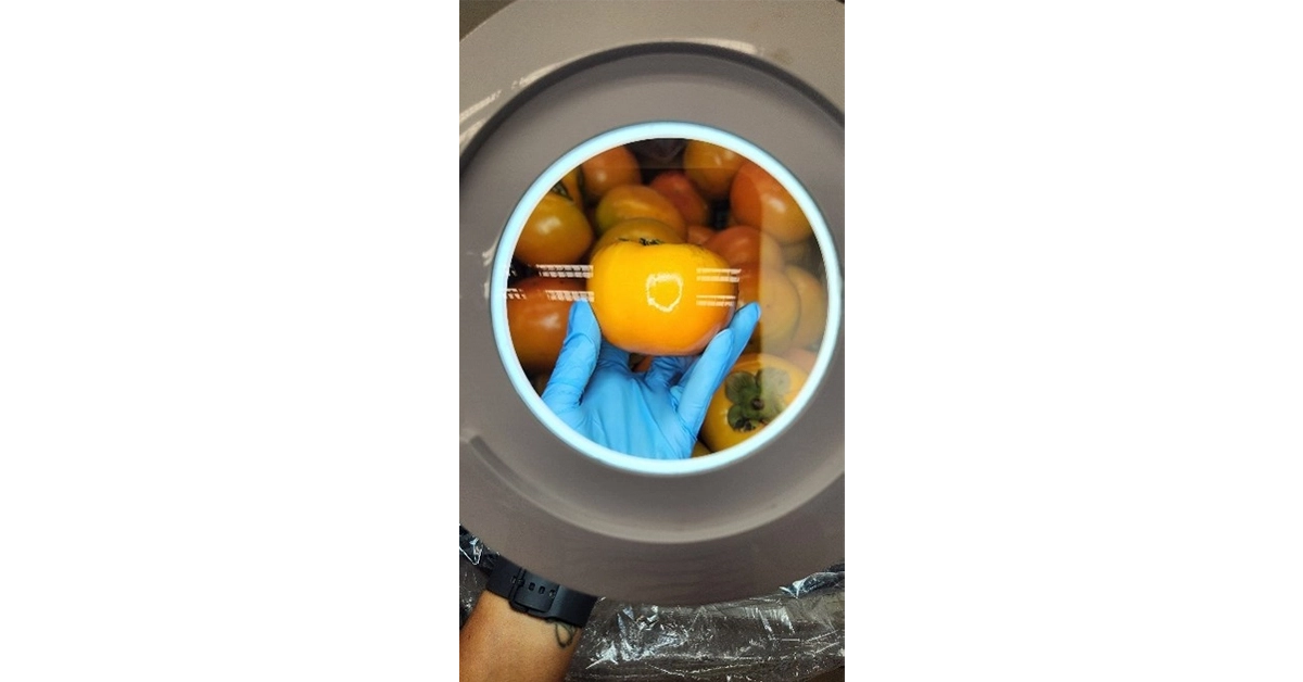 Phytosanitary inspection