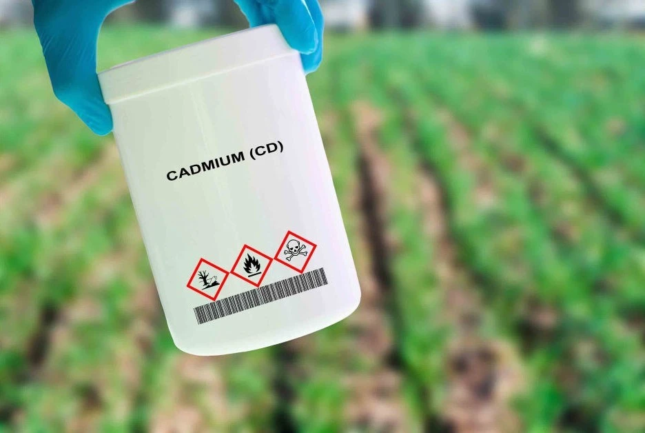 expert-cadmium