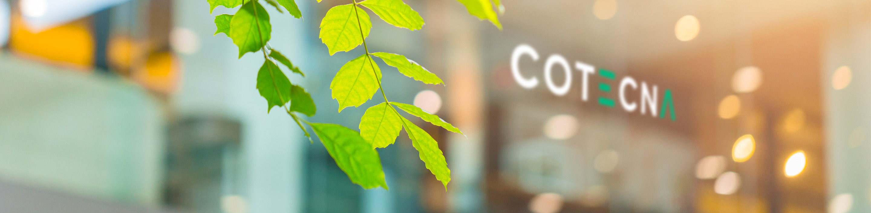 header-about