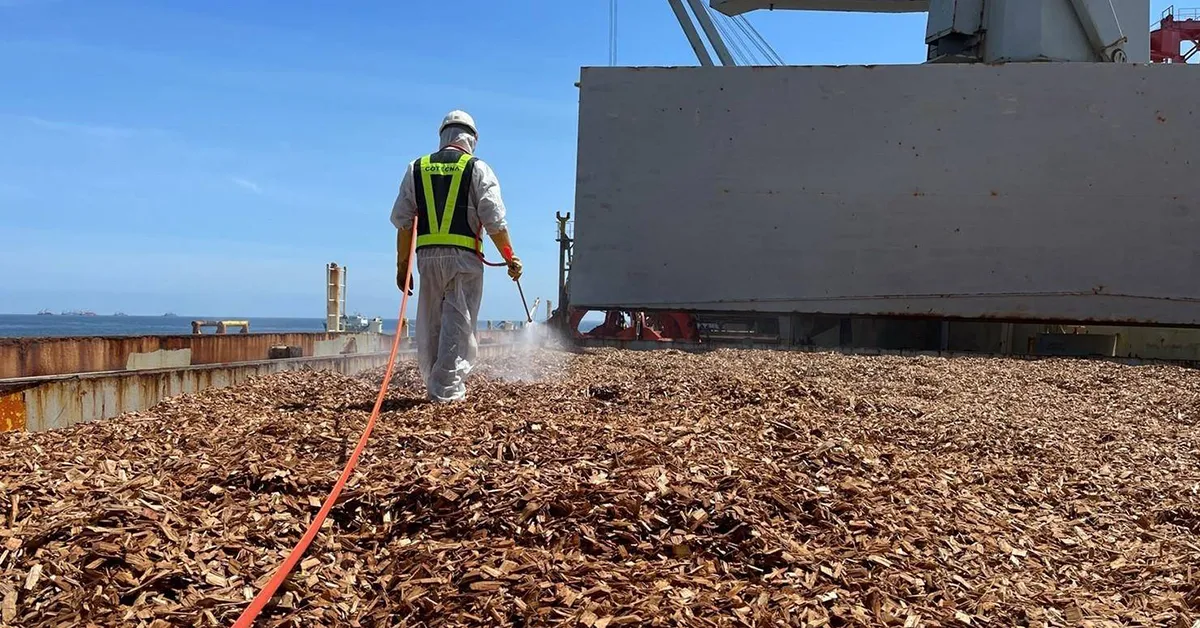 news-cotecna-launches-wood-chips-brochure