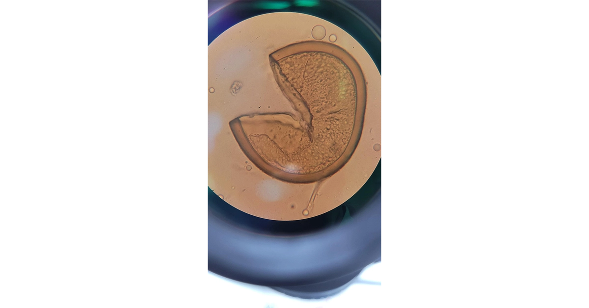 news-bioinput-2