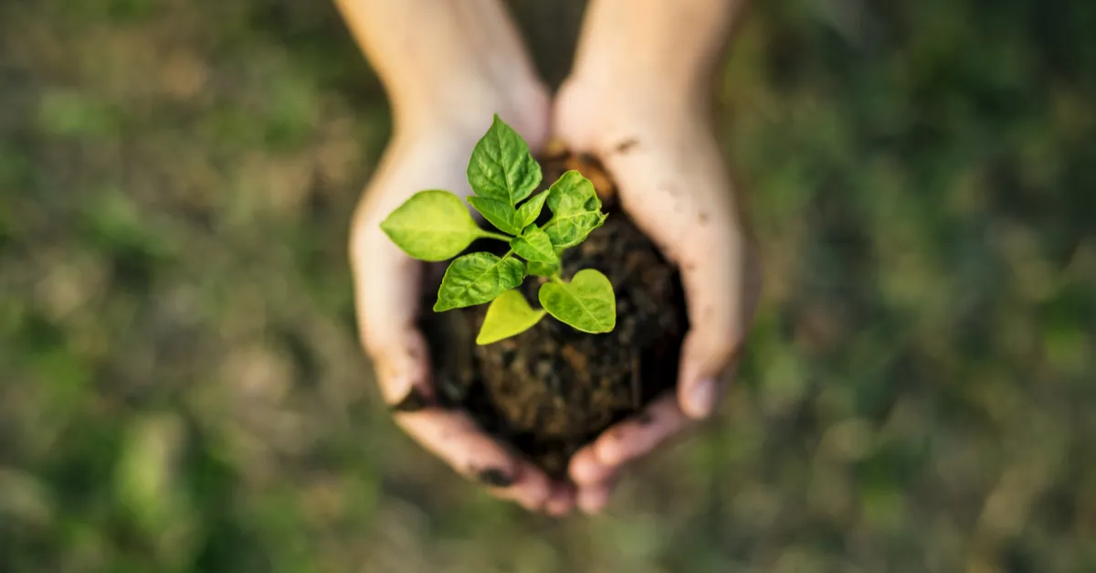 sustainability